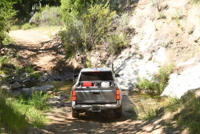 DSC_5913 (Large).JPG